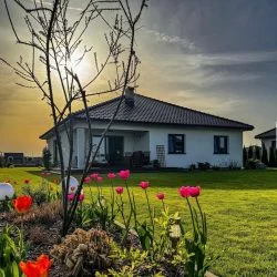 galeri_20260221_214248_60c7a5c2a6e518324823